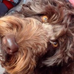 Meet your Posher, Shellie